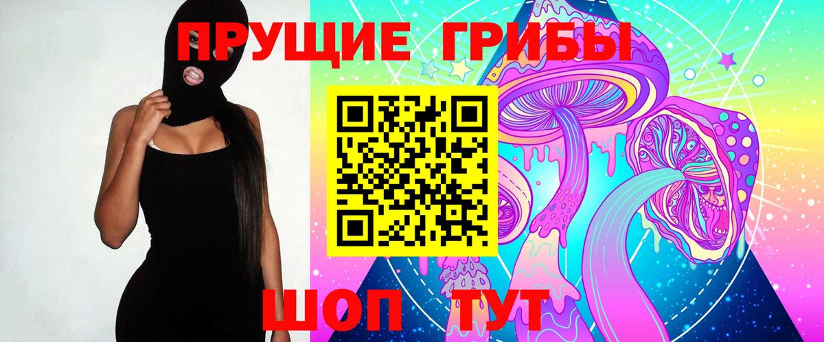 Галлюциногенные грибы прущие грибы  Вход с VPN  Тавда 